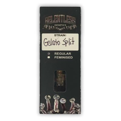gelato split relentless genetics