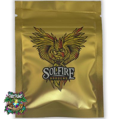 miami mami solfire gardens