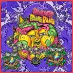 planet bang bang exotix genetix