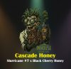 Cascade Honey Feminized Seeds by In House Genetics