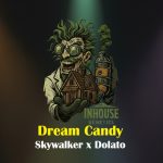 Dream Candy Feminized Seeds by In House Genetics