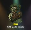 JMO Feminized Seeds by In House Genetics