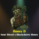 Honey D Feminized Seeds by In House Genetics