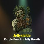 Jellysickle Feminized Seeds by In House Genetics