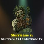 Slurricane ix Feminized Seeds by In House Genetics