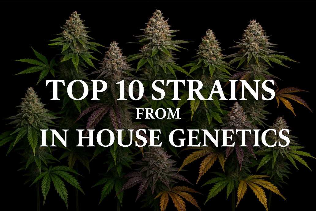 Top 10 Strains from In House Genetics