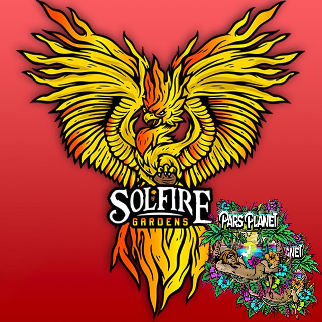 The Gozer OG Regular Seeds Solfire Gardens