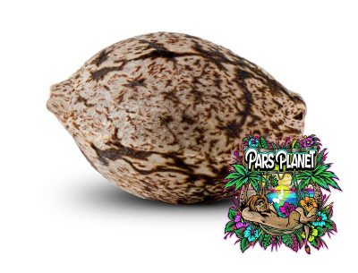 Criminal Feminized Seeds by Ripper Seeds - Image 3