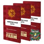 Amnesia Haze Auto Seeds by Barneys Farm