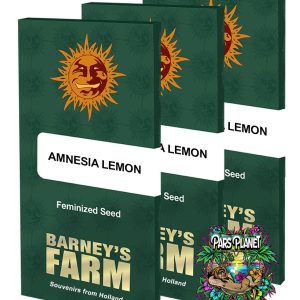 Amnesia Lemon Feminized Seeds by Barneys Farm