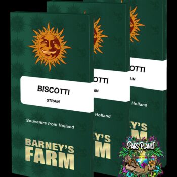 Biscotti Feminized Seeds by Barneys Farm