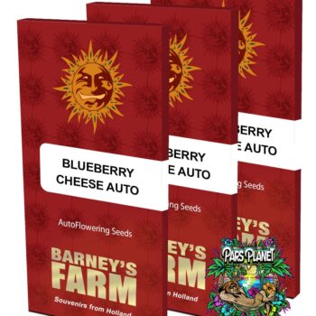 Blue Cheese Auto Seeds by Barneys Farm