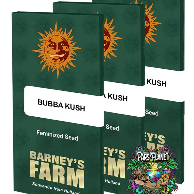 Bubba Kush Feminized Seeds by Barneys Farm