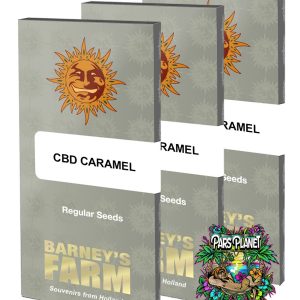 CBD Caramel Regular Seeds by Barneys Farm - 10 Seeds