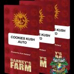 Cookies Kush Auto Seeds by Barneys Farm