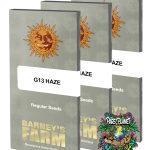 G13 Haze Regular Seeds by Barneys Farm
