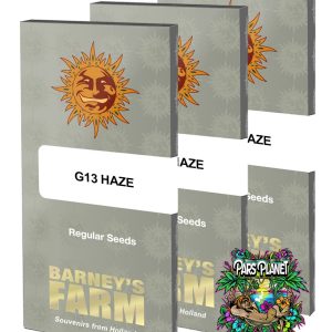 G13 Haze Regular Seeds by Barneys Farm