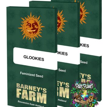 Glookies Feminized Seeds by Barneys Farm