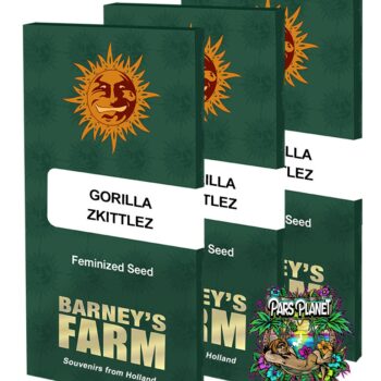 Gorilla Zkittlez Feminized Seeds by Barneys Farm