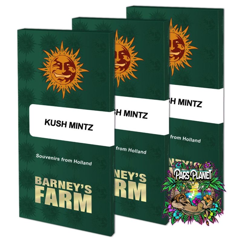 Kush Mintz Feminized Seeds by Barneys Farm