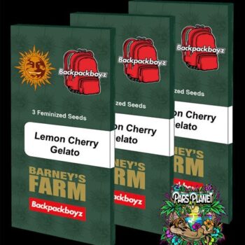 Lemon Cherry Gelato Feminized Seeds by Barneys Farm