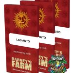 LSD Auto Seeds by Barneys Farm
