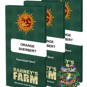 Orange Sherbert Feminized Seeds by Barneys Farm