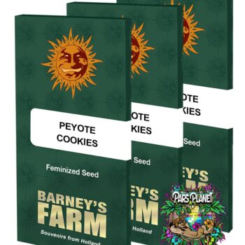 Peyote Cookies Feminized Seeds by Barneys Farm