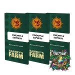 Pineapple Express Feminized Seeds by Barneys Farm