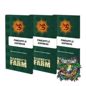 Pineapple Express Feminized Seeds by Barneys Farm