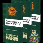 Purple Punch x Lemon Drizzle Feminized Seeds by Barneys Farm
