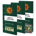 Runtz x Layer Cake Feminized Seeds by Barneys Farm