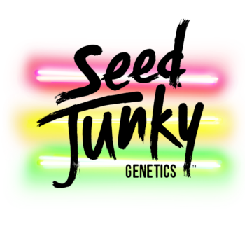 seed junky genetics