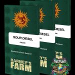 Sour Diesel Feminized Seeds by Barneys Farm