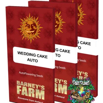 Wedding Cake Auto Seeds by Barneys Farm