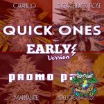 Quick Ones Promo Pack Seeds by Delicious Seeds