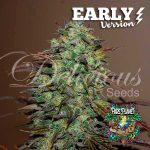 Eleven Roses Early Version Feminized Seeds by Delicious Seeds