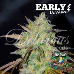 Marmalate Early Version Feminized Seeds by Delicious Seeds