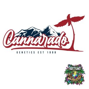 Cannarado