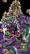 Zombie Bride Feminized Seeds by Ripper Seeds - Image 2