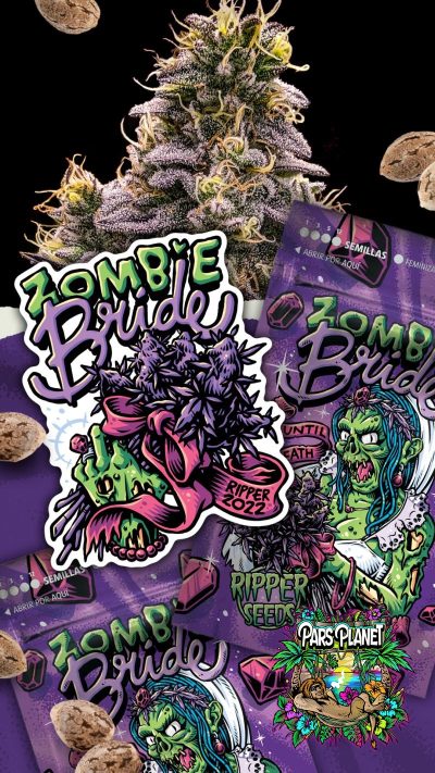 Zombie Bride Feminized Seeds by Ripper Seeds - Image 2