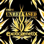 Top Notch feminized seeds by Exotic Genetix