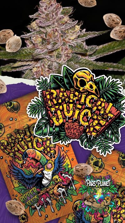 Radical Juice Auto Seeds by Ripper Seeds - Image 3