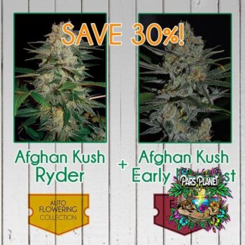 Afghan Kush Pack