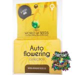 Autoflowering Collection