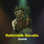 Buttermilk Biscuits Feminized Seeds by In House Genetics