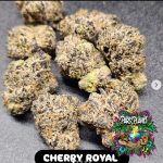 Cherry Royal Feminized Seeds by In House Genetics