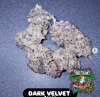 Dark Velvet Feminized Seeds by In House Genetics
