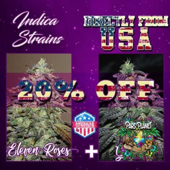 INDICA DEAL