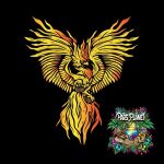 Section A - feminized seeds - solfire gardens